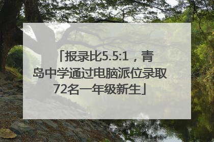 报录比5.5:1，青岛中学通过电脑派位录取72名一年级新生