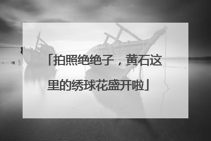 拍照绝绝子，黄石这里的绣球花盛开啦