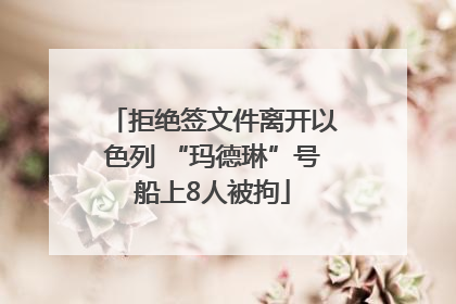 拒绝签文件离开以色列 “玛德琳”号船上8人被拘