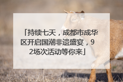 持续七天，成都市成华区开启国潮非遗盛宴，92场次活动等你来
