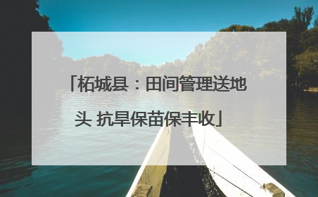 柘城县：田间管理送地头 抗旱保苗保丰收