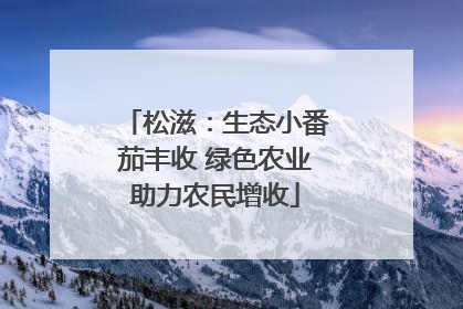 松滋：生态小番茄丰收 绿色农业助力农民增收