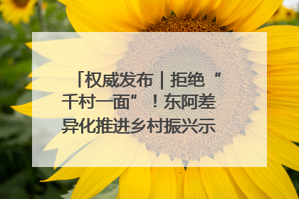 权威发布｜拒绝“千村一面”！东阿差异化推进乡村振兴示范片区建设