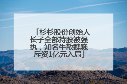 杉杉股份创始人长子全部持股被强执，知名牛散魏巍斥资1亿元入局