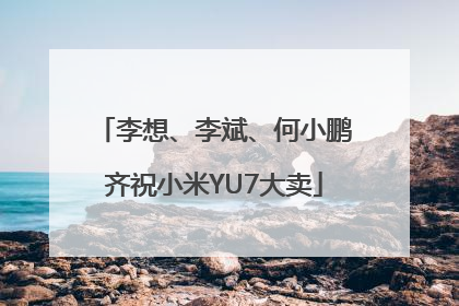 李想、李斌、何小鹏齐祝小米YU7大卖