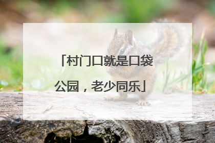 村门口就是口袋公园，老少同乐