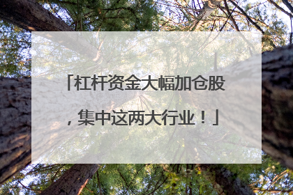 杠杆资金大幅加仓股，集中这两大行业！