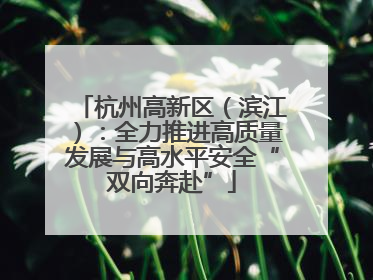杭州高新区（滨江）：全力推进高质量发展与高水平安全“双向奔赴”