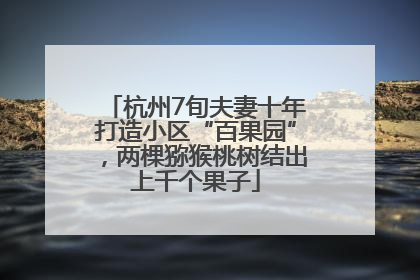 杭州7旬夫妻十年打造小区“百果园”，两棵猕猴桃树结出上千个果子