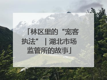 林区里的“宠客执法”｜湖北市场监管所的故事