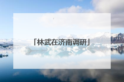 林武在济南调研