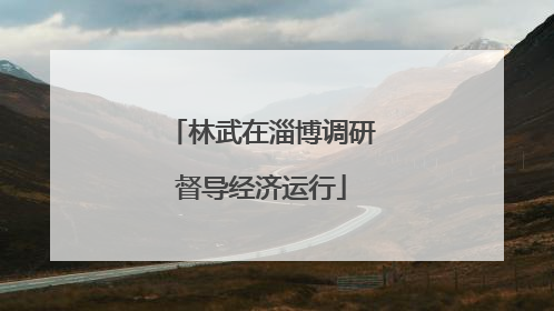 林武在淄博调研督导经济运行