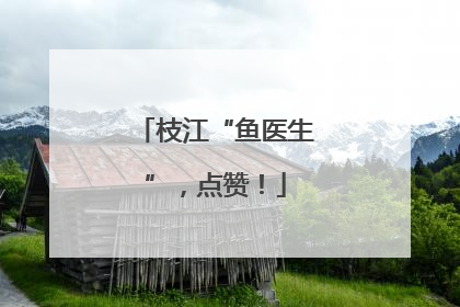 枝江“鱼医生”，点赞！