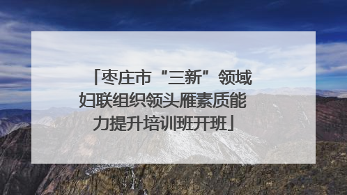 枣庄市“三新”领域妇联组织领头雁素质能力提升培训班开班