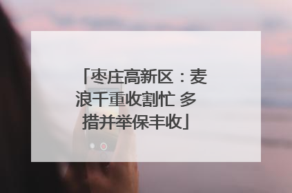 枣庄高新区：麦浪千重收割忙 多措并举保丰收