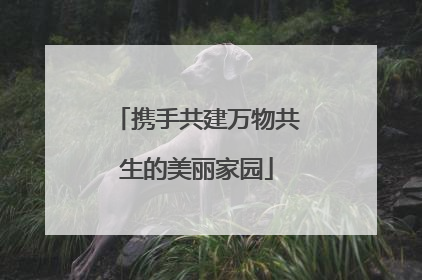 携手共建万物共生的美丽家园