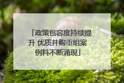 政策包容度持续提升 优质并购重组案例料不断涌现