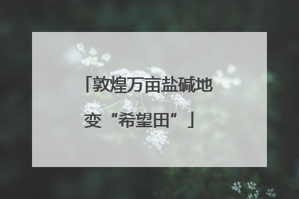 敦煌万亩盐碱地变“希望田”