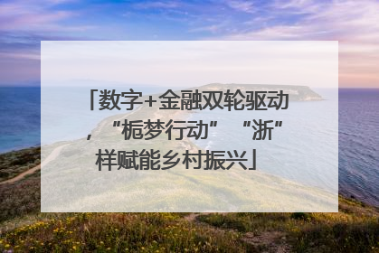 数字+金融双轮驱动，“栀梦行动”“浙”样赋能乡村振兴