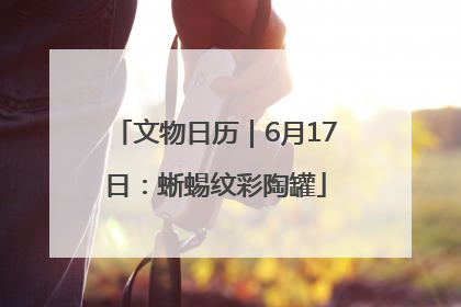 文物日历｜6月17日：蜥蜴纹彩陶罐