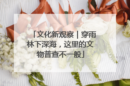 文化新观察｜穿雨林下深海，这里的文物普查不一般