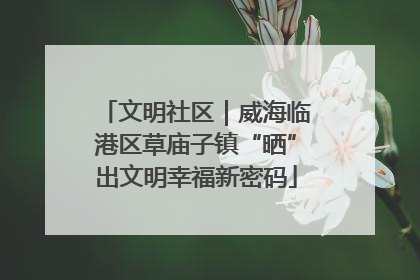 文明社区｜威海临港区草庙子镇“晒”出文明幸福新密码