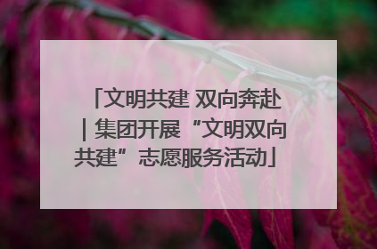 文明共建 双向奔赴｜集团开展“文明双向共建”志愿服务活动