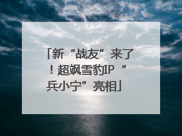 新“战友”来了！超飒雪豹IP“兵小宁”亮相