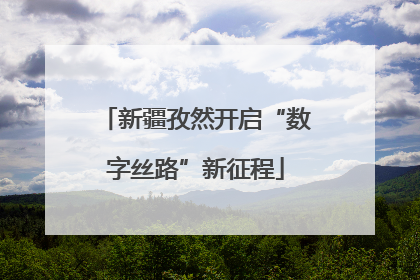 新疆孜然开启“数字丝路”新征程