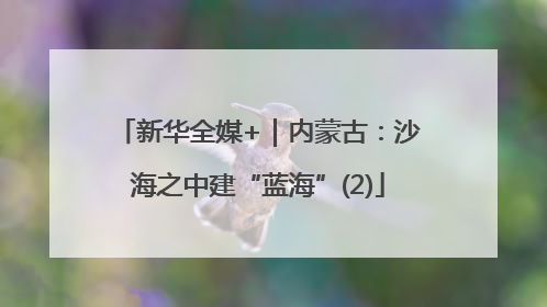新华全媒+｜内蒙古：沙海之中建“蓝海”(2)