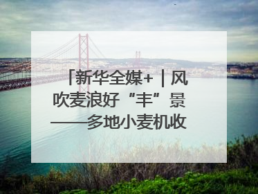 新华全媒+｜风吹麦浪好“丰”景——多地小麦机收一线见闻