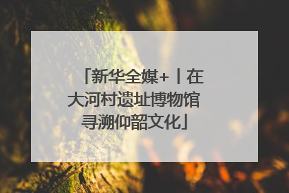 新华全媒+丨在大河村遗址博物馆寻溯仰韶文化