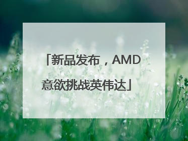 新品发布，AMD意欲挑战英伟达