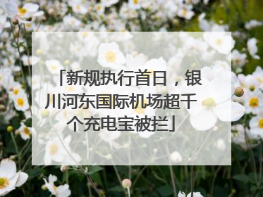 新规执行首日，银川河东国际机场超千个充电宝被拦