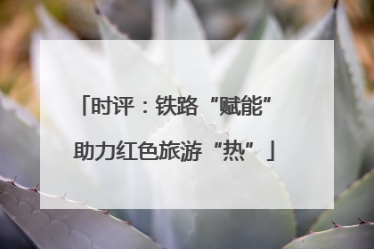 时评：铁路“赋能” 助力红色旅游“热”