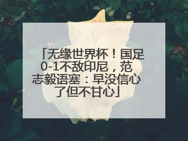 无缘世界杯！国足0-1不敌印尼，范志毅语塞：早没信心了但不甘心