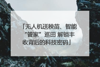 无人机送秧苗、智能“管家”巡田 解锁丰收背后的科技密码