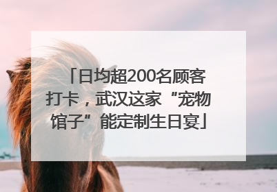 日均超200名顾客打卡，武汉这家“宠物馆子”能定制生日宴