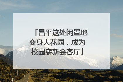 昌平这处闲置地变身大花园，成为校园崭新会客厅