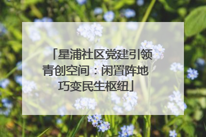 星浦社区党建引领青创空间：闲置阵地巧变民生枢纽