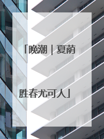 晚潮｜夏荫胜春尤可人