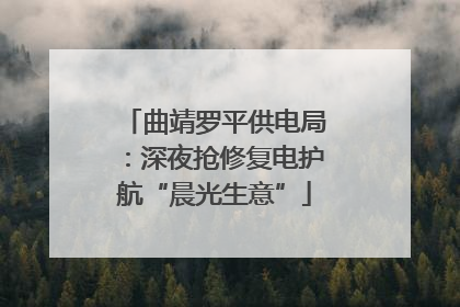 曲靖罗平供电局：深夜抢修复电护航“晨光生意”