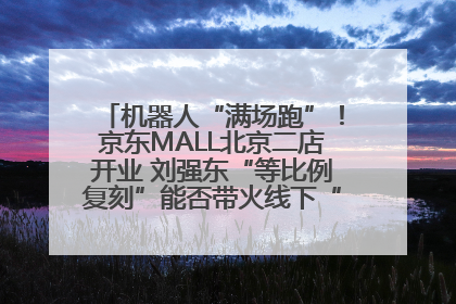 机器人“满场跑”！京东MALL北京二店开业 刘强东“等比例复刻”能否带火线下“618”？