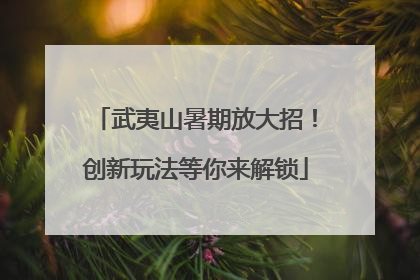 武夷山暑期放大招！创新玩法等你来解锁