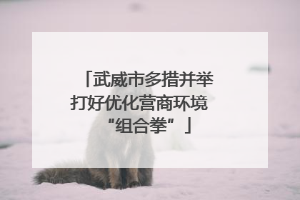 武威市多措并举打好优化营商环境“组合拳”