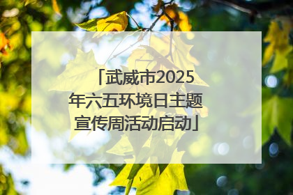 武威市2025年六五环境日主题宣传周活动启动