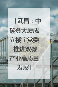 武昌：中碳登大厦成立楼宇党委 推进双碳产业高质量发展