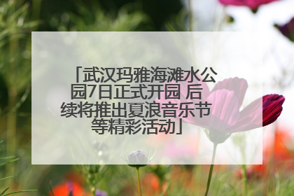 武汉玛雅海滩水公园7日正式开园 后续将推出夏浪音乐节等精彩活动