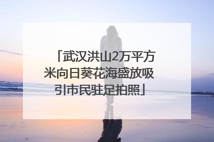 武汉洪山2万平方米向日葵花海盛放吸引市民驻足拍照