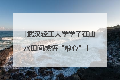 武汉轻工大学学子在山水田间感悟“粮心”